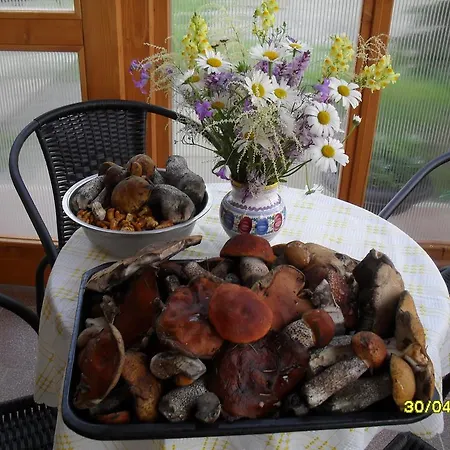 בית אירוח U Peta Hrustin